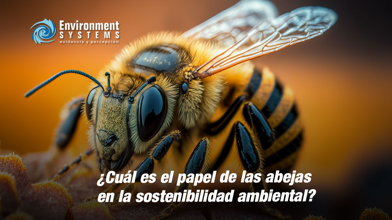 El papel de las abejas en el ecosistema y la conservación de la biodiversidad