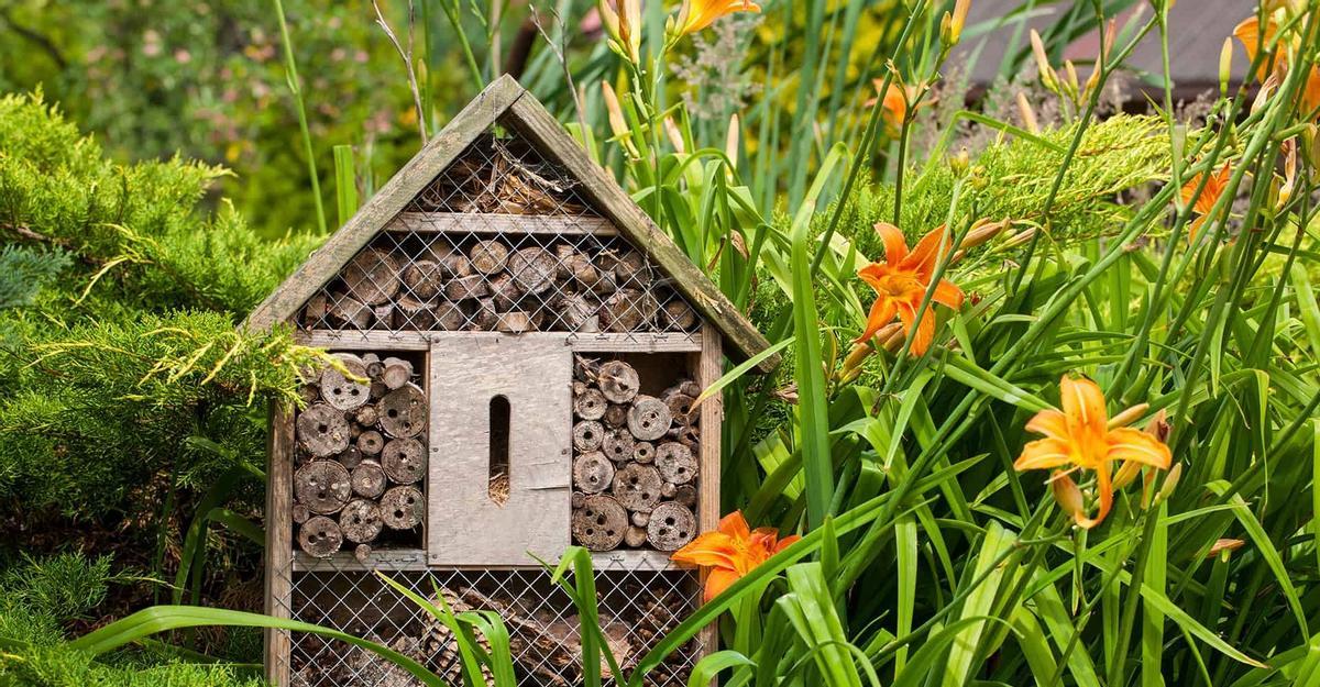La relación entre las abejas y las flores: un equilibrio perfecto
